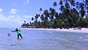 Marine fishery in Pernambuco, Brazil